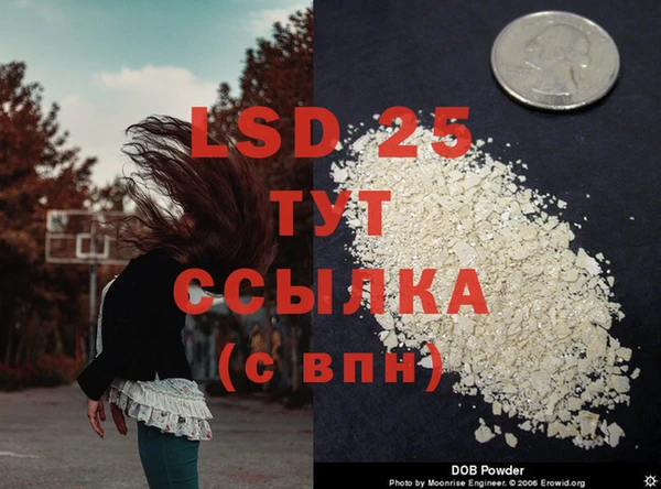 сатива Верхний Тагил