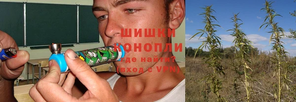 сатива Верхний Тагил
