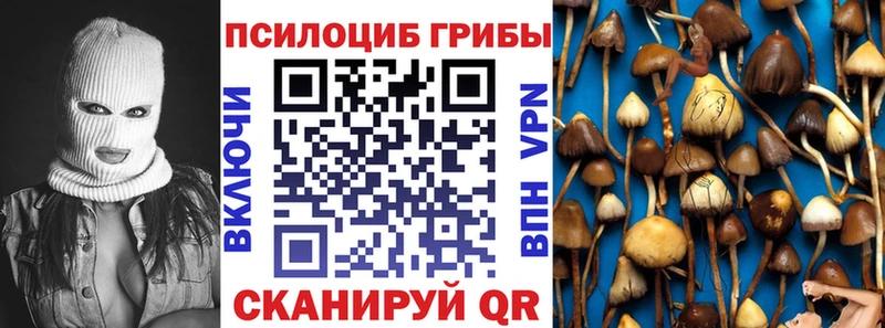 Галлюциногенные грибы MAGIC MUSHROOMS  MEGA маркетплейс  Рузаевка  хочу  