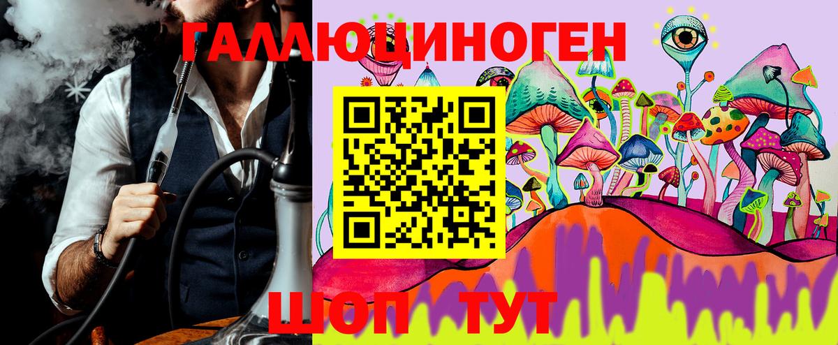 Галлюциногенные грибы Psilocybe Рузаевка