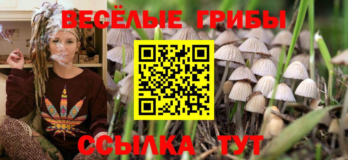 Рузаевка  наркотики  Вход с VPN  Галлюциногенные грибы MAGIC MUSHROOMS 